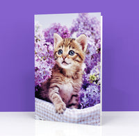 Biglietto Auguri CLASSIC - KITTEN LILAC FLOWERS